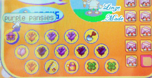 動森_調時間之事前準備_塞滿特殊花01