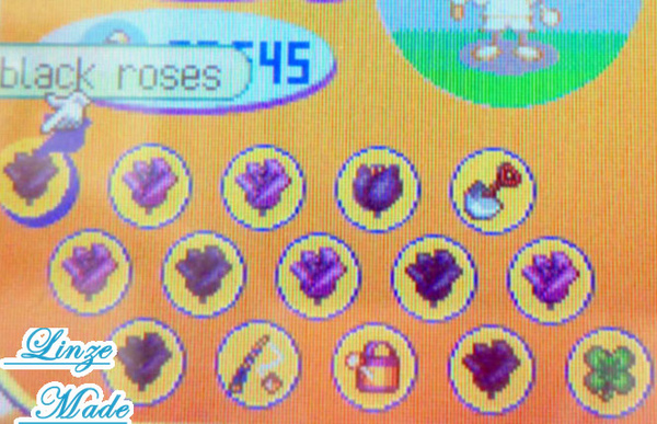 動森_調時間之事前準備_塞滿特殊花02