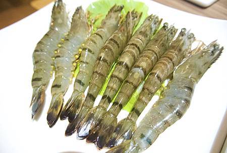 DSC_1268.jpg DSC_1268.jpg