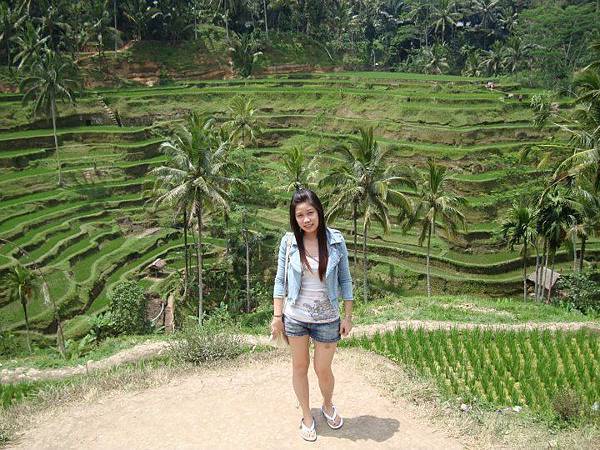 318573_2001433357274_1689146651_n