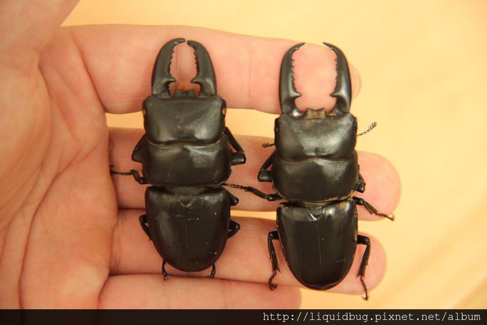 10441415_766944136683599_1614396343419792447_n