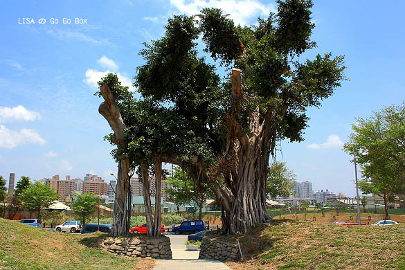 IMG_5346.JPG IMG_5346.JPG