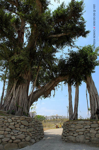 IMG_5342.JPG IMG_5342.JPG