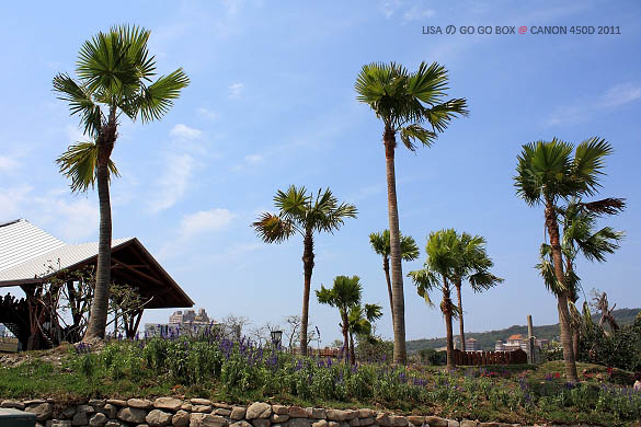 IMG_5304.JPG IMG_5304.JPG