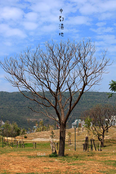 IMG_5287.JPG IMG_5287.JPG