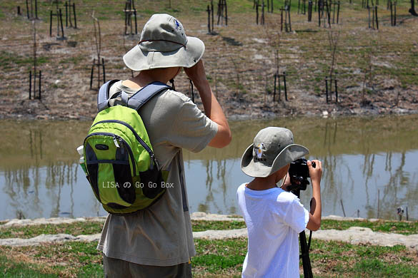 IMG_5350.JPG IMG_5350.JPG