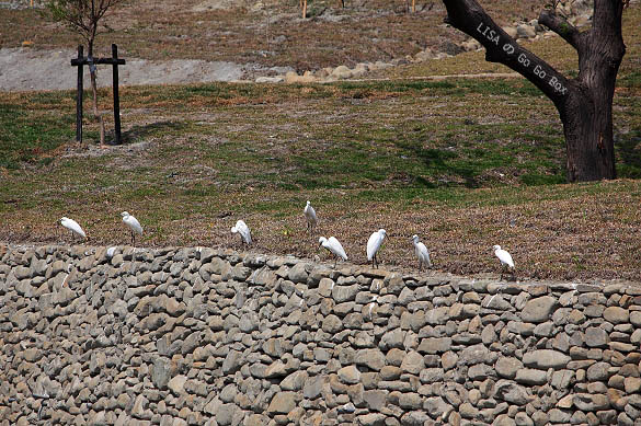 IMG_5280.JPG IMG_5280.JPG