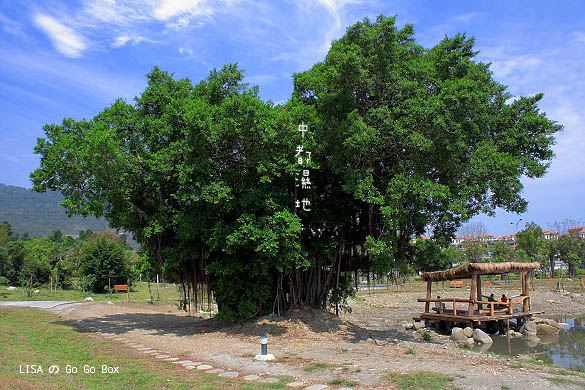 IMG_5274.JPG IMG_5274.JPG