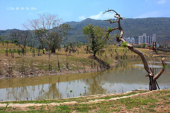 IMG_5349.JPG IMG_5349.JPG