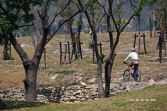 IMG_5282.JPG IMG_5282.JPG