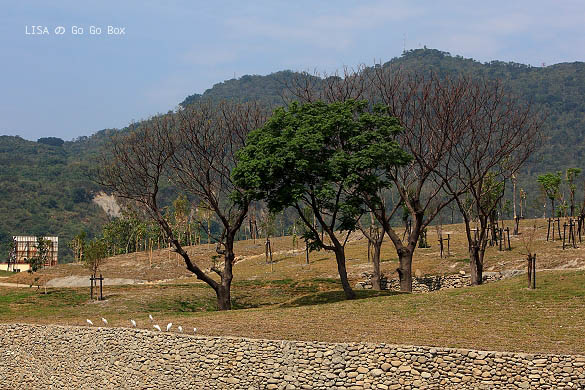 IMG_5281.JPG IMG_5281.JPG