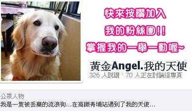 恩揪粉絲團 恩揪粉絲團