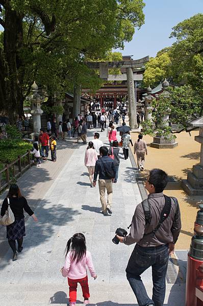 DSC01272.JPG DSC01272.JPG