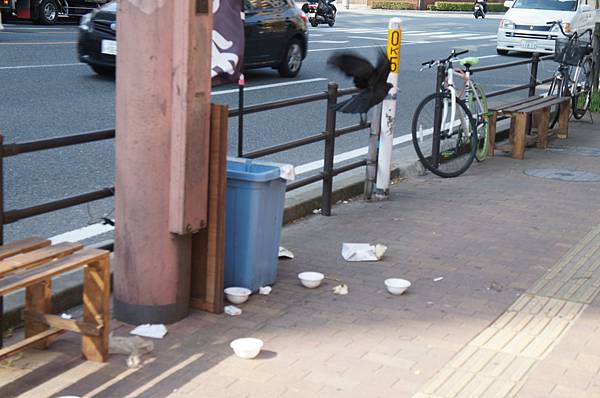 DSC01193.JPG DSC01193.JPG