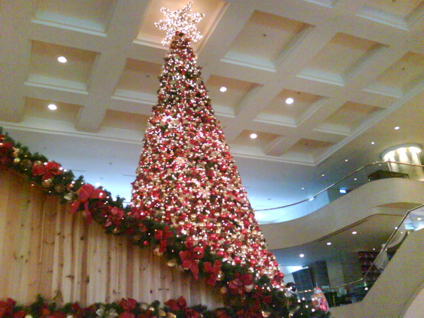 DSC00093.JPG DSC00093.JPG