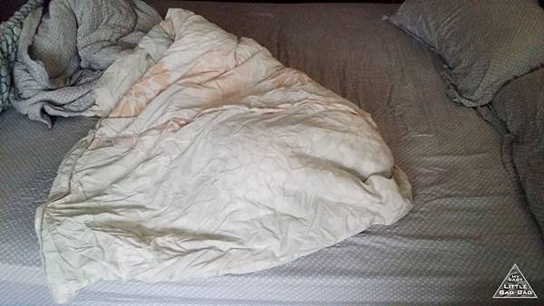 20140525_161937拷貝