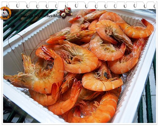 web026.jpg web026.jpg