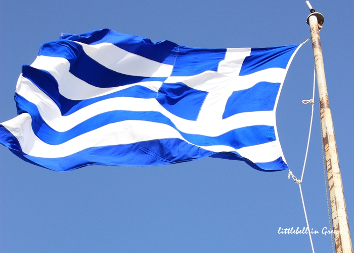 IMG_8347.JPG IMG_8347.JPG