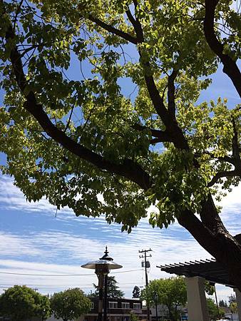 IMG_5803.jpg IMG_5803.jpg