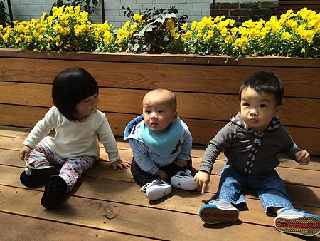 IMG_5809.jpg IMG_5809.jpg