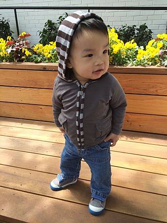 IMG_5815.jpg IMG_5815.jpg