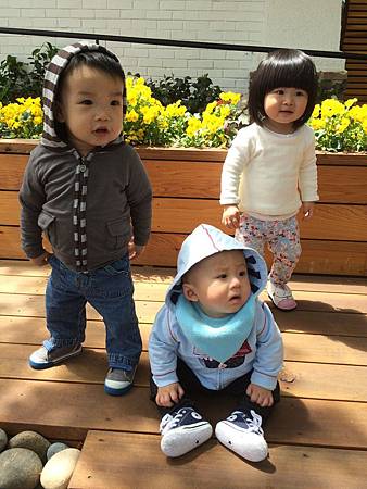 IMG_5818.jpg IMG_5818.jpg