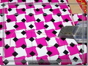 nEO_IMG_DSCN5303 nEO_IMG_DSCN5303