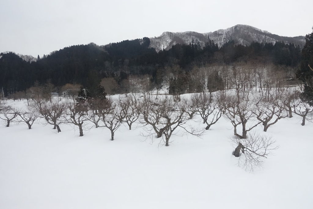 2015過年日本東北仙台、山形、秋田遊DAY4秋田內陸線
