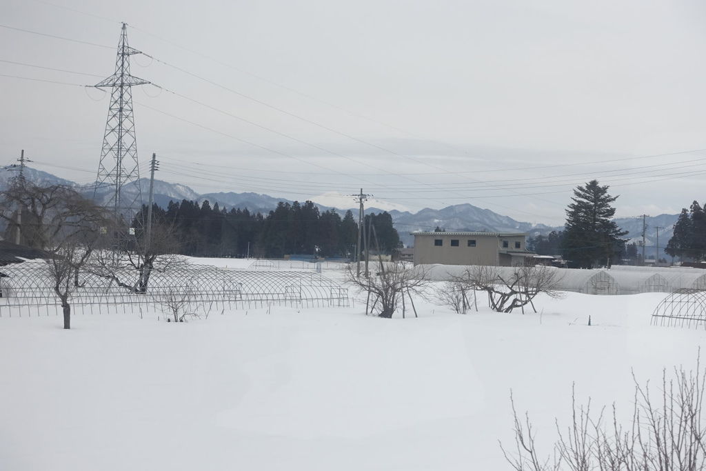 2015過年日本東北仙台、山形、秋田遊DAY4秋田內陸線
