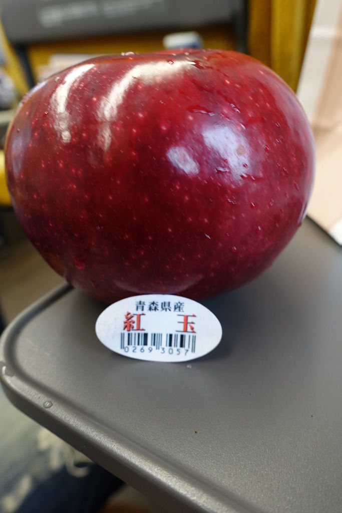 2015過年日本東北仙台、山形、秋田遊DAY4秋田內陸線