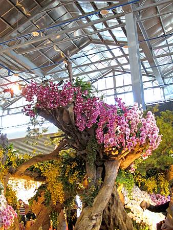 IMG_1794 IMG_1794