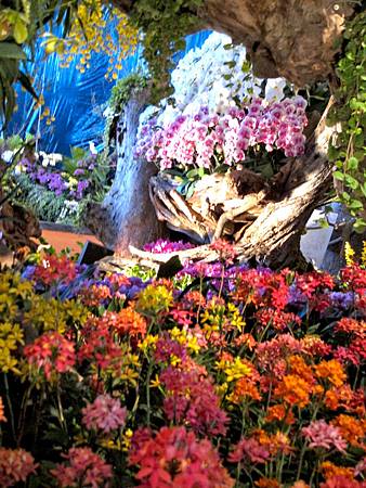 IMG_1789 IMG_1789