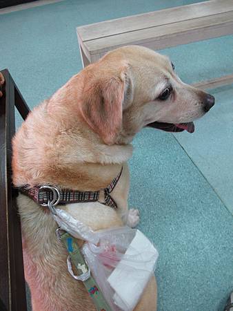 IMG_5294 IMG_5294