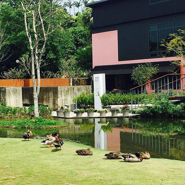 11083643_664727383633414_5713302345140608093_n