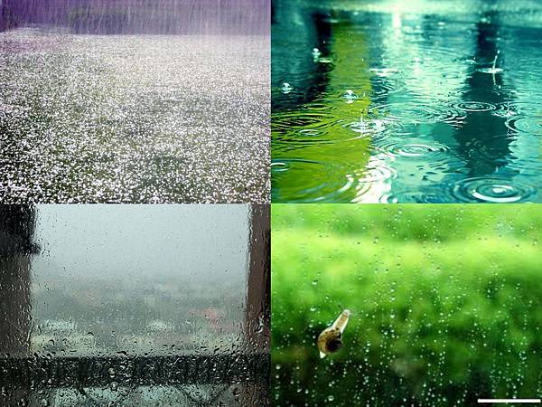 雨.jpg