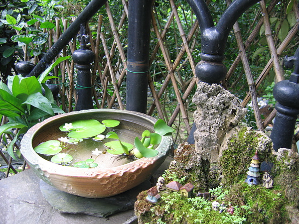 庭園.jpg 庭園.jpg
