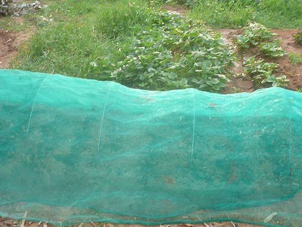 P1130410.JPG P1130410.JPG