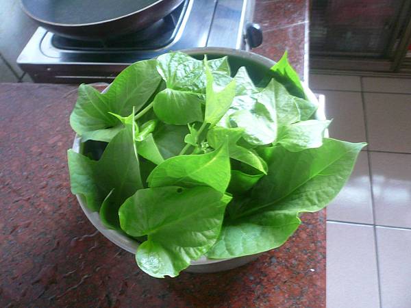 P1130458 - 複製.JPG P1130458 - 複製.JPG