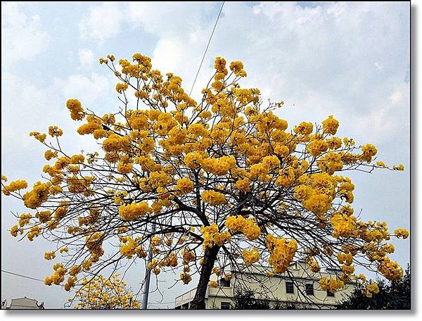 20150307_IMG_6300.JPG 20150307_IMG_6300.JPG