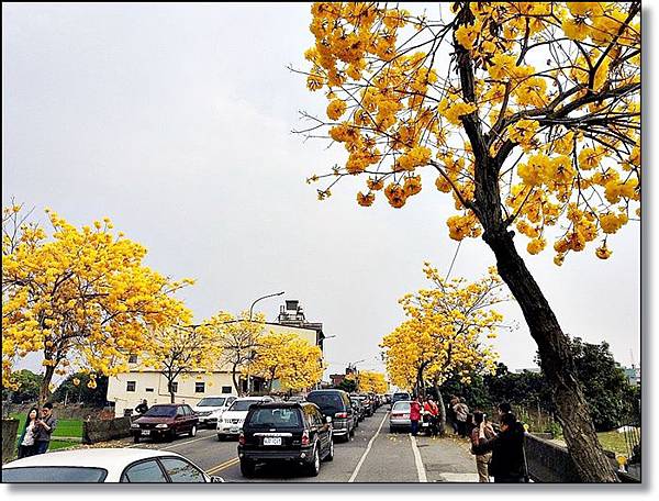 20150307_IMG_6201.JPG 20150307_IMG_6201.JPG