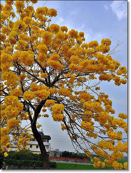 20150307_IMG_6301.JPG 20150307_IMG_6301.JPG