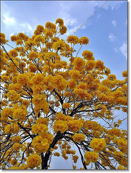 20150307_IMG_6302.JPG 20150307_IMG_6302.JPG