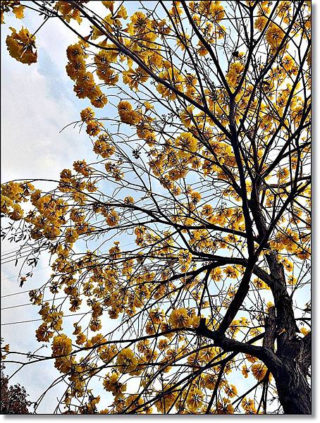 20150307_IMG_6375.JPG 20150307_IMG_6375.JPG