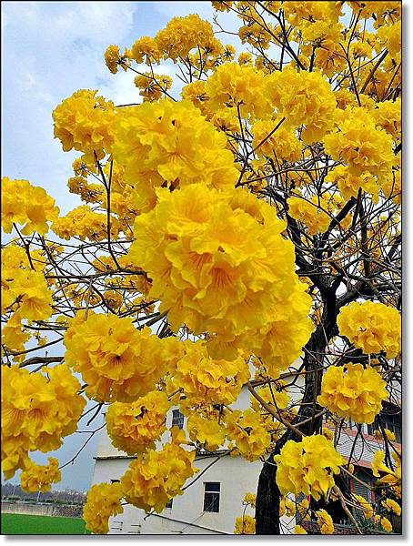 20150307_IMG_6376.JPG 20150307_IMG_6376.JPG