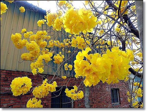 20150307_IMG_6377.JPG 20150307_IMG_6377.JPG