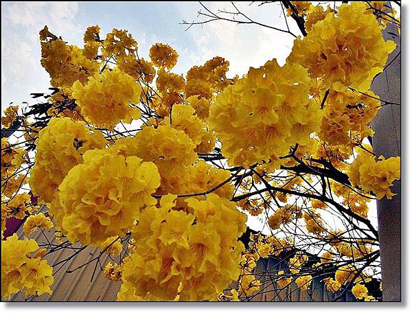 20150307_IMG_6379.JPG 20150307_IMG_6379.JPG