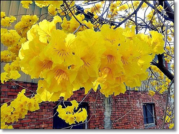 20150307_IMG_6378.JPG 20150307_IMG_6378.JPG