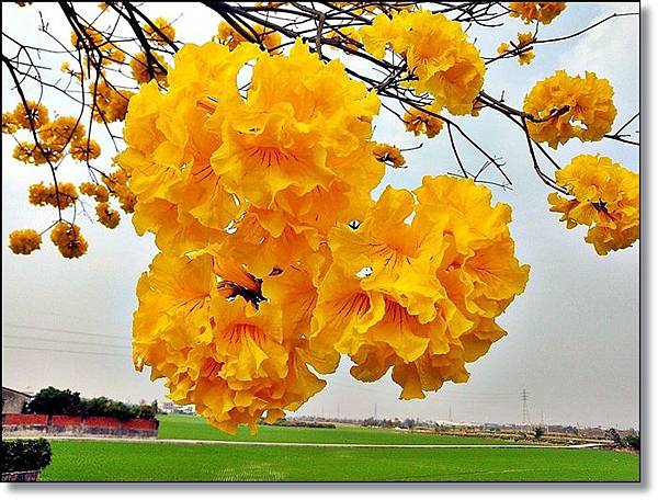 20150307_IMG_6380.JPG 20150307_IMG_6380.JPG