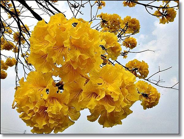 20150307_IMG_6382.JPG 20150307_IMG_6382.JPG