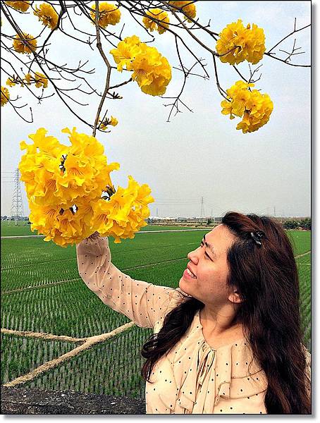 20150307_IMG_6393.JPG 20150307_IMG_6393.JPG